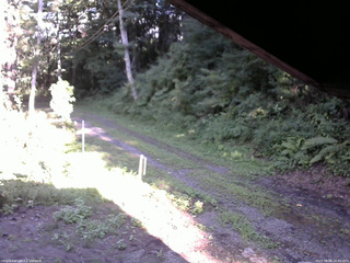 長野県菅平高原 ゆたか山荘 東側(坂下) 2025/08/08 16:45