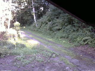 長野県菅平高原 ゆたか山荘 東側(坂下) 2025/08/08 17:00