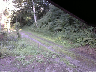 長野県菅平高原 ゆたか山荘 東側(坂下) 2025/08/08 17:15