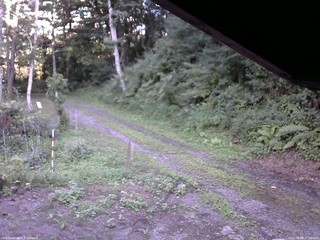 長野県菅平高原 ゆたか山荘 東側(坂下) 2025/08/08 17:30