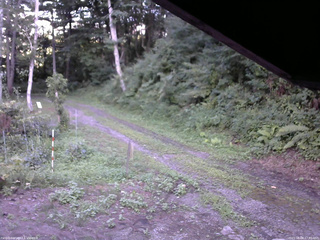 長野県菅平高原 ゆたか山荘 東側(坂下) 2025/08/08 17:45