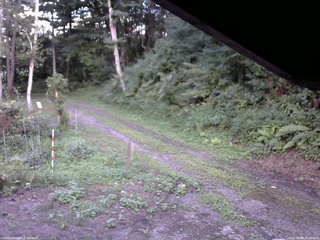 長野県菅平高原 ゆたか山荘 東側(坂下) 2025/08/08 18:00