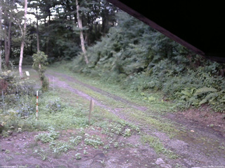 長野県菅平高原 ゆたか山荘 東側(坂下) 2025/08/08 18:15