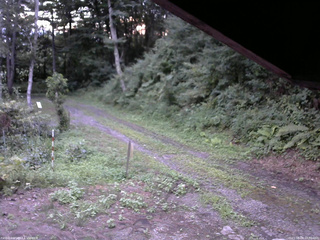 長野県菅平高原 ゆたか山荘 東側(坂下) 2025/08/08 18:30