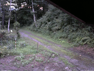 長野県菅平高原 ゆたか山荘 東側(坂下) 2025/08/08 18:45