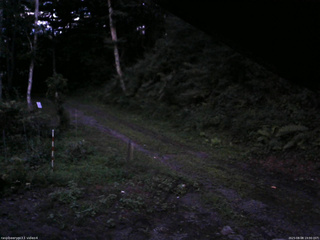 長野県菅平高原 ゆたか山荘 東側(坂下) 2025/08/08 19:00