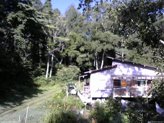 長野県菅平高原 ゆたか山荘 西側(坂上) 2025/08/08 07:00