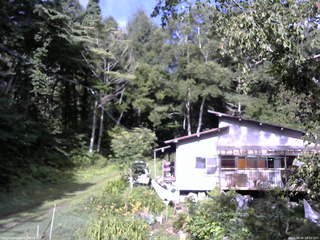 長野県菅平高原 ゆたか山荘 西側(坂上) 2025/08/08 07:30