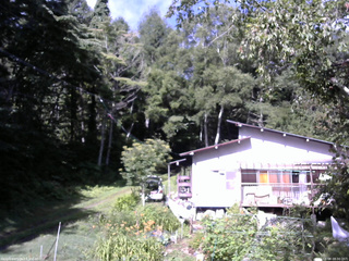 長野県菅平高原 ゆたか山荘 西側(坂上) 2025/08/08 08:30