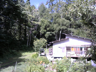 長野県菅平高原 ゆたか山荘 西側(坂上) 2025/08/08 08:45