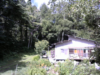 長野県菅平高原 ゆたか山荘 西側(坂上) 2025/08/08 09:00