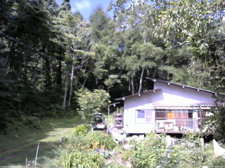 長野県菅平高原 ゆたか山荘 西側(坂上) 2025/08/08 09:30