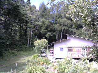 長野県菅平高原 ゆたか山荘 西側(坂上) 2025/08/08 09:45