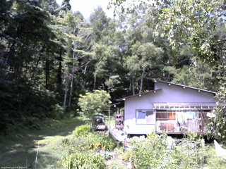 長野県菅平高原 ゆたか山荘 西側(坂上) 2025/08/08 10:30