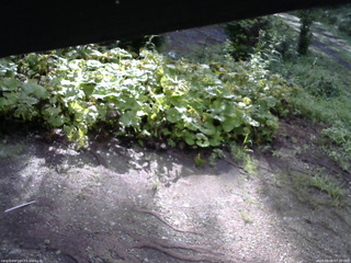 長野県菅平高原 ゆたか山荘 駐車場 2025/08/08 07:30