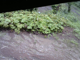 長野県菅平高原 ゆたか山荘 駐車場 2025/08/08 07:45