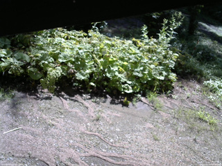 長野県菅平高原 ゆたか山荘 駐車場 2025/08/08 08:30