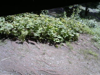 長野県菅平高原 ゆたか山荘 駐車場 2025/08/08 09:15
