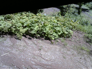 長野県菅平高原 ゆたか山荘 駐車場 2025/08/08 10:30
