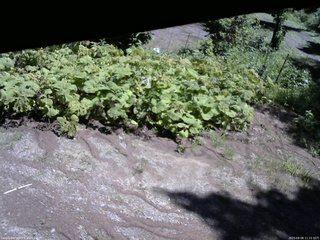 長野県菅平高原 ゆたか山荘 駐車場 2025/08/08 11:15