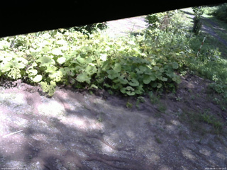 長野県菅平高原 ゆたか山荘 駐車場 2025/08/08 12:30