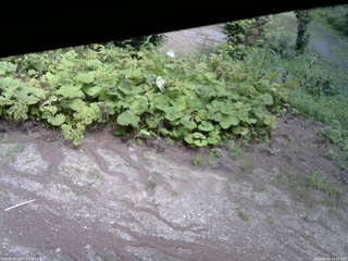 長野県菅平高原 ゆたか山荘 駐車場 2025/08/08 13:30