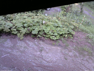 長野県菅平高原 ゆたか山荘 駐車場 2025/08/08 17:15