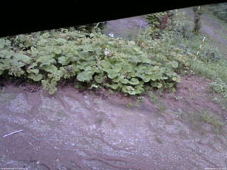 長野県菅平高原 ゆたか山荘 駐車場 2025/08/08 18:15