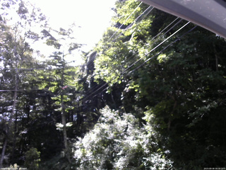 長野県菅平高原 ゆたか山荘 東側上空 2025/08/08 08:30