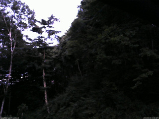 長野県菅平高原 ゆたか山荘 東側上空 2025/08/08 19:00