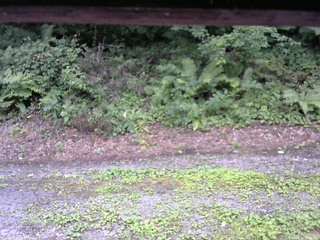 長野県菅平高原 ゆたか山荘 南側 2025/08/09 12:30