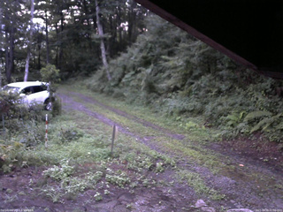 長野県菅平高原 ゆたか山荘 東側(坂下) 2025/08/09 05:00