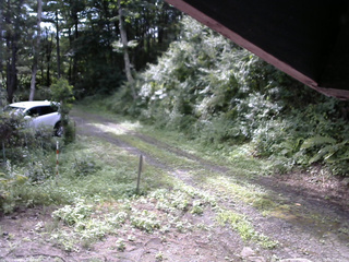 長野県菅平高原 ゆたか山荘 東側(坂下) 2025/08/09 08:30