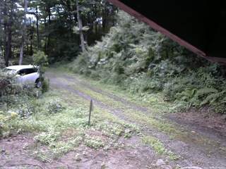 長野県菅平高原 ゆたか山荘 東側(坂下) 2025/08/09 08:45