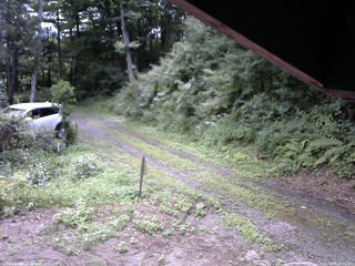 長野県菅平高原 ゆたか山荘 東側(坂下) 2025/08/09 09:15