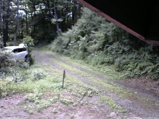 長野県菅平高原 ゆたか山荘 東側(坂下) 2025/08/09 09:30