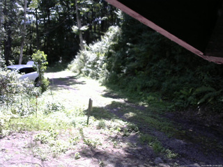 長野県菅平高原 ゆたか山荘 東側(坂下) 2025/08/09 10:00
