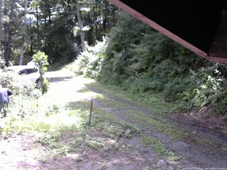 長野県菅平高原 ゆたか山荘 東側(坂下) 2025/08/09 10:45