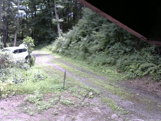 長野県菅平高原 ゆたか山荘 東側(坂下) 2025/08/09 11:15
