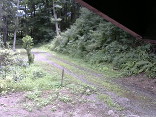 長野県菅平高原 ゆたか山荘 東側(坂下) 2025/08/09 11:30