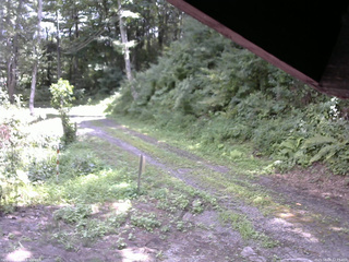 長野県菅平高原 ゆたか山荘 東側(坂下) 2025/08/09 12:15