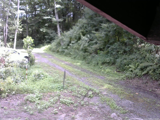 長野県菅平高原 ゆたか山荘 東側(坂下) 2025/08/09 12:45