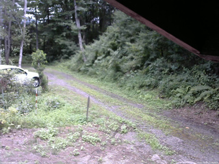 長野県菅平高原 ゆたか山荘 東側(坂下) 2025/08/09 13:00