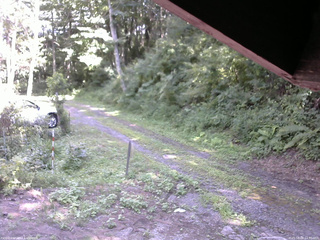 長野県菅平高原 ゆたか山荘 東側(坂下) 2025/08/09 14:00
