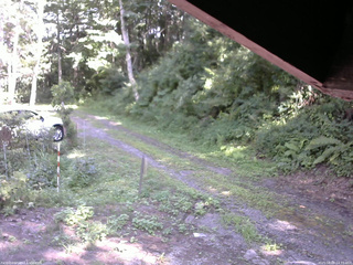 長野県菅平高原 ゆたか山荘 東側(坂下) 2025/08/09 14:15