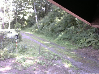 長野県菅平高原 ゆたか山荘 東側(坂下) 2025/08/09 14:30