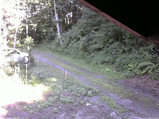 長野県菅平高原 ゆたか山荘 東側(坂下) 2025/08/09 15:45