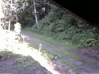 長野県菅平高原 ゆたか山荘 東側(坂下) 2025/08/09 16:45