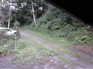 長野県菅平高原 ゆたか山荘 東側(坂下) 2025/08/09 17:30