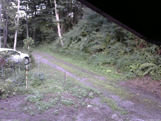 長野県菅平高原 ゆたか山荘 東側(坂下) 2025/08/09 17:45